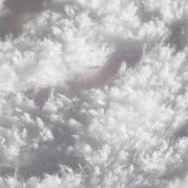 Coarse_microfiber_polishing_pads_random_orbital_detail